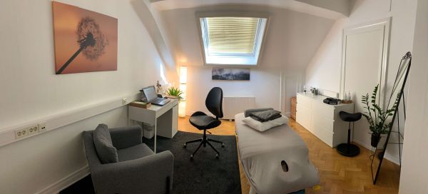 Science Based Massage (bilde 3)